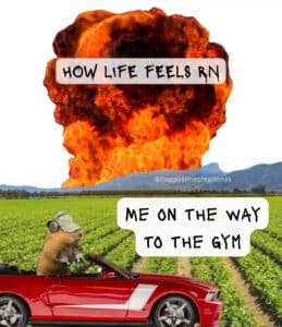 A hamster driving a toy car in a field. Behind it is a huge fireball from an explosion. The fireball is labeled "HOW LIFE FEELS RN" and the hamster in the car is labeled, "ME ON THE WAY TO THE GYM"